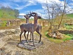 149 BIO PARC DE DOUE LA FONTAINE 7- 2016_000036